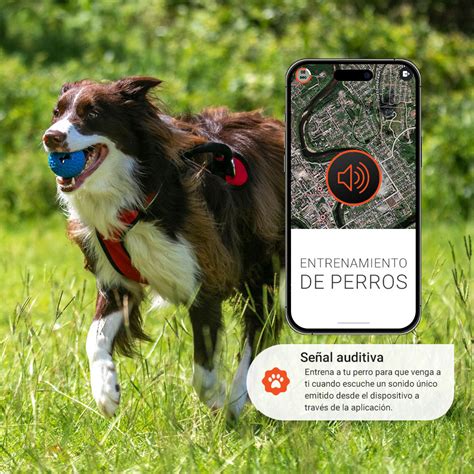 PAJ PET Finder 4G: Localizador GPS para perros | PAJ GPS