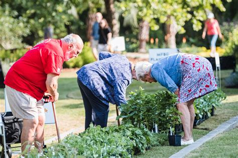 Visit Lake City Sc Festivals Events Mfbg Fall Plant Sale