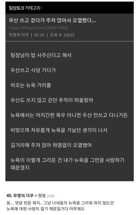 우산쓰고 걷다가 오열한 언냐 유머움짤이슈 에펨코리아