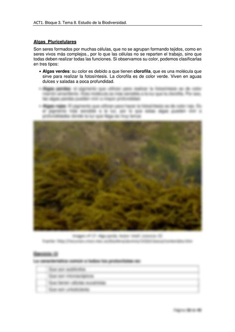 SOLUTION Estudio De La Biodiversidad Studypool