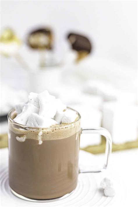 Hot Chocolate Powdered Mix Recipe Tiny Batch Cooking