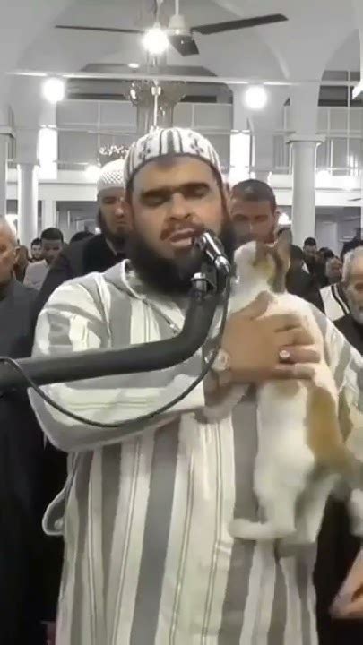 Wholesome Reaction Of Imam When A Cat Climbs On His Shoulder During Taraweeh ️ Youtube