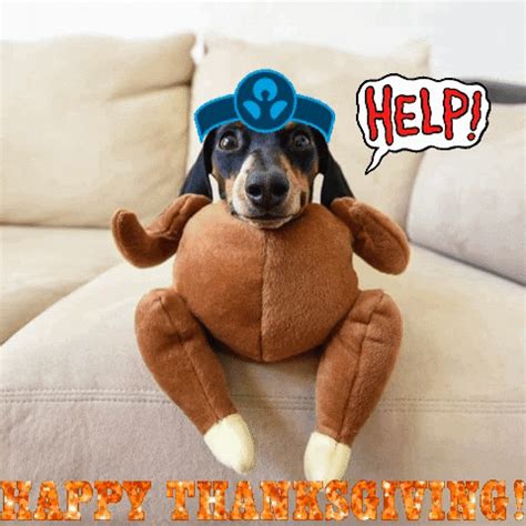 peggyhayestumlin giphygifmaker giphyattribution gif happy thanksgiving ...