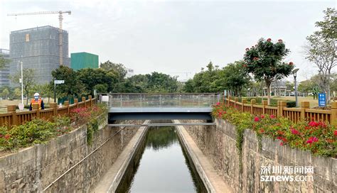 光明区领导带队调研马田排洪渠水污染治理情况并督导文明城市创建工作光明网