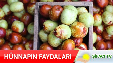 Hünnap Meyvesinin Faydaları Nelerdir Vitamin içeriği nedir neye iyi