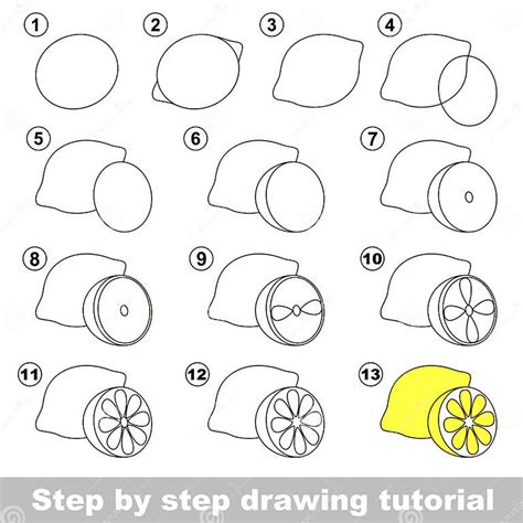 Drawing Tutorial How To Draw A Lemon Stock Vector Illustration Of