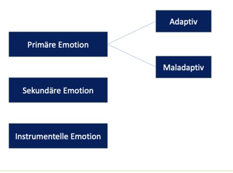 V10 Emotionsfokussierte Interventionen Karteikarten Quizlet