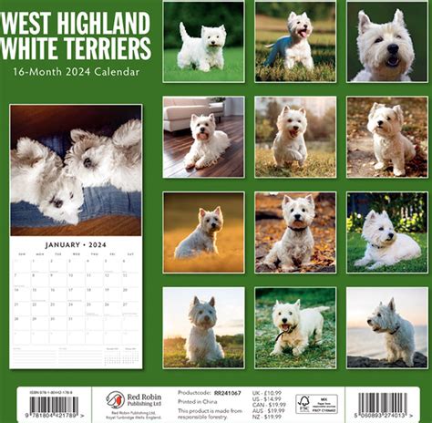 West Highland White Terriers Kalender Bol