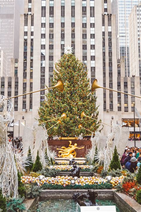 The 10+ Best NYC Christmas Trees You Have to See | Tall Girl Big World