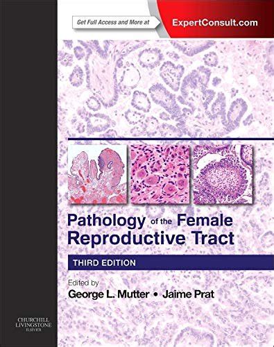 Jual Pathology Of The Female Reproductive Tract 3rd Edition Di Lapak