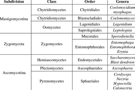 Major Fungal Taxa And List Of Some Important Genera Of Entomopathogenic