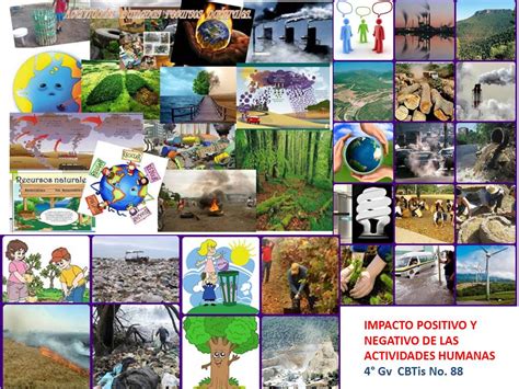 Impacto En Los Recursos Naturales Por La Actividad Humana