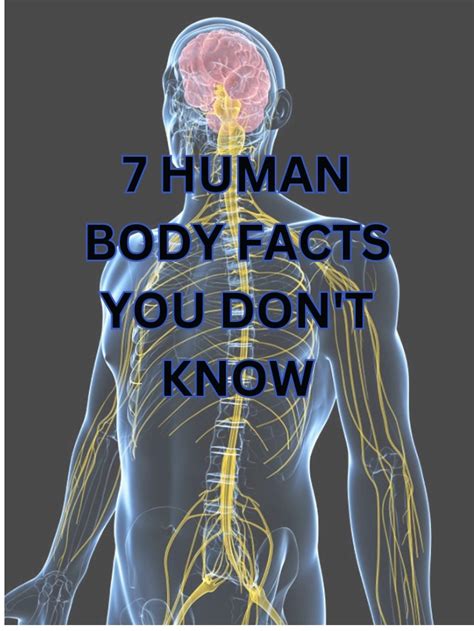 7 Human Body Facts - Knowledge Grasp