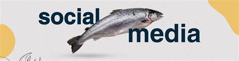 social media fish on Behance
