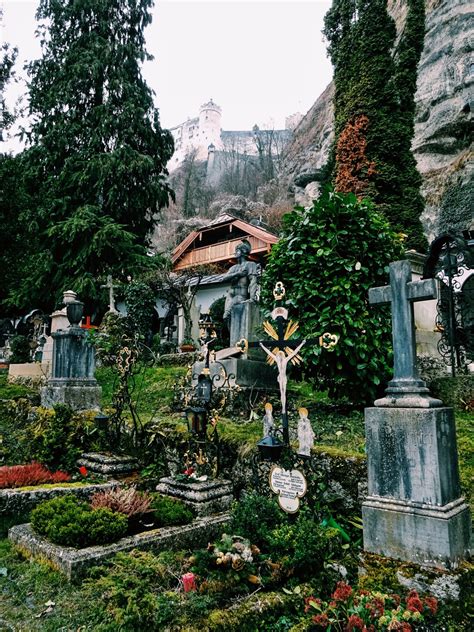 Vie De Vienna Petersfriedhof Or St Peters Cemetery