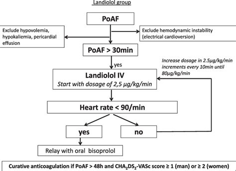 Landiolol Group Algorithm IV Intravenous PoAF Postoperative Atrial