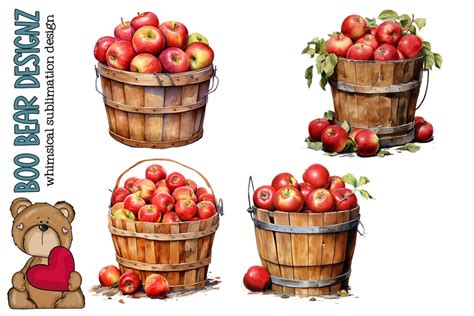 Watercolor Bushel of Apple Clipart - So Fontsy