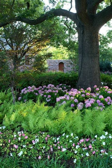 Designing A Shade Garden For A Relaxing Retreat – Home Design Lovers