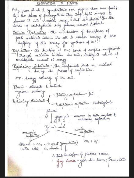 Respiration In Plants Handwritten Notes PDF Shop Handwritten Notes SHN