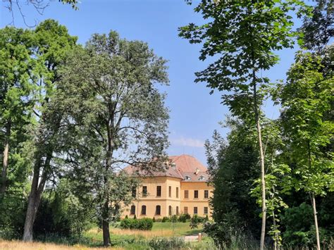 Exkursion Das Kaiserliche Jagdschloss Und Jagdgebiet Eckartsau Heute