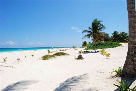 Playa Paraiso Tulum (Paradise Beach) - 2023 Guide