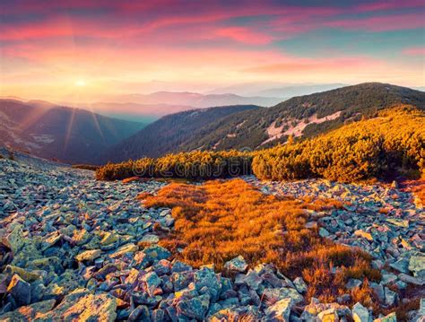 4,371 Colorful Autumn Sunrise Carpathian Mountains Stock Photos - Free ...