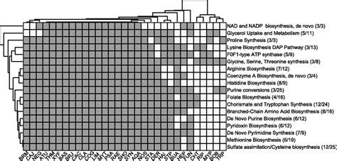 Experimental And Computational Assessment Of Conditionally Essential