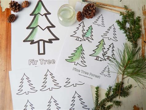 Pine Trees Coloring Page Printable [2025]