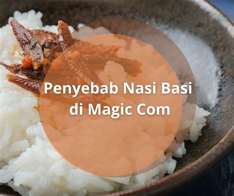 3 Penyebab Nasi Basi Di Magic Baca Sekerang