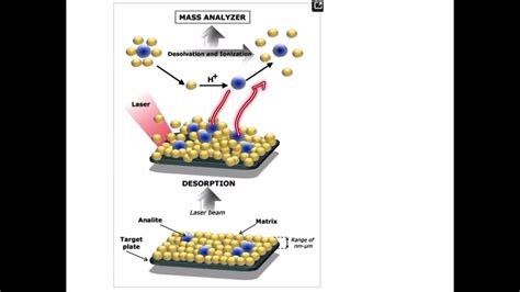 Mass Spectrometry Part 1 Principle And Working Youtube