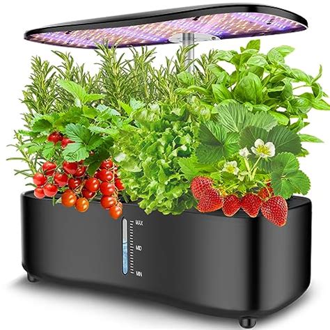 Best Hydroponics Growing Systems for Successful Indoor Gardening ...