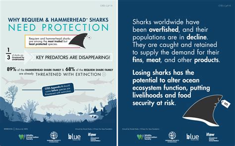 Cites Infographic 1nicola Poulos C Save Our Seas Foundation Save