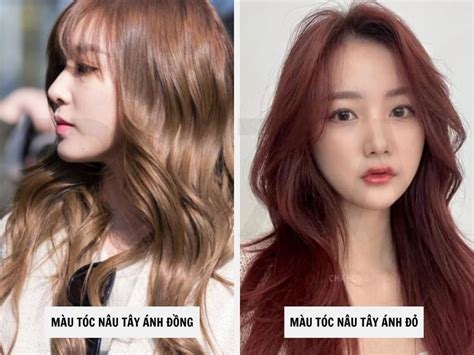 Tổng Hợp Các Màu Tóc Nâu Tây Hot Trend Nhất Hiện Nay