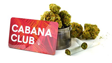 Canna Cabana Canadas Leading Cannabis Store Buy Weed Online