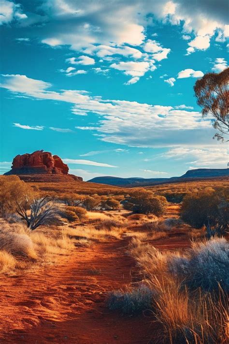 Create a dynamic landscape of the Australian outback by Rico Louis ...