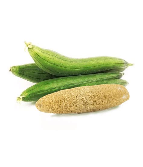 Sementes De Ab Bora Luffa Esponja Vegetal