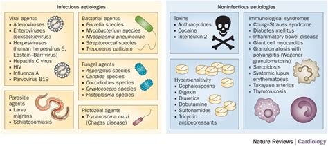 Exploring Coxsackievirus Infections: From Diagnosis To Treatment - Ask ...