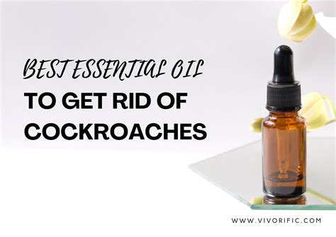 Best Essential Oil To Get Rid Of Cockroaches