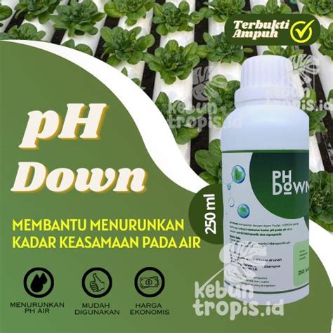 Ph Down Hidroponik Menurunkan Ph Pada Larutan Nutrisi Hidroponik