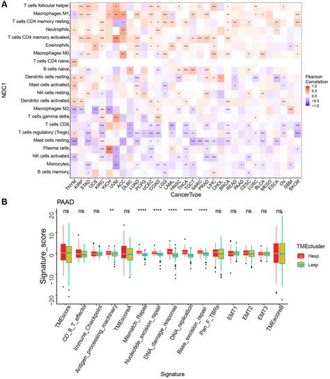 Pan Cancer Analysis And Experimental Validation Identify Ndc1 As A Potential Immunological