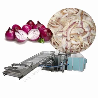 Industrial Heat Pump Onion Dryer Carrot Cassava Herb Konjac Ginger