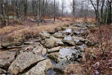 Heather Ryan Photography Backpacking The Dolly Sods Wilderness