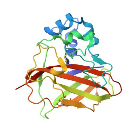 RCSB PDB 8C5N Sub Atomic Resolution Structure Of The Chitin Binding