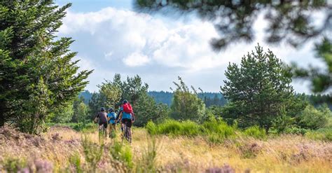 N87 Le Pilard Espace VTT FFC Vichy Montagne La Guillermie