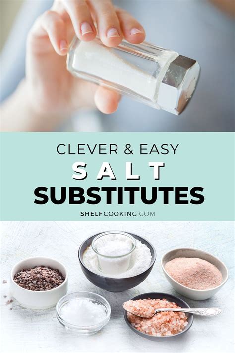 Salt Substitute Ideas You Need to Know Right Now! - Shelf Cooking ...