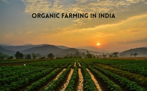 organic farming  india