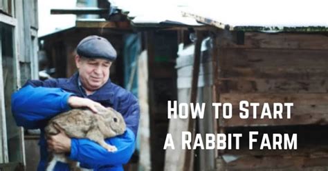 How To Start A Rabbit Farm