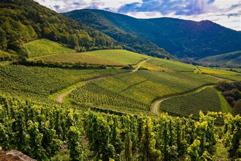 Genusstrip ins Weinbaugebiet Ahr im sonnigen Ahrtal Der Varta Führer