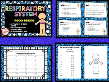 Body Systems Task Card Bundle By Educando Einsteins Tpt