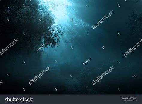 34,752 Moonlight forest Images, Stock Photos & Vectors | Shutterstock